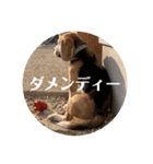 にるすた。4（個別スタンプ：7）