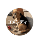 にるすた。4（個別スタンプ：8）