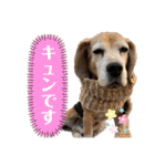 にるすた。4（個別スタンプ：13）