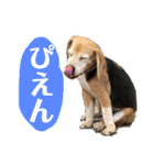 にるすた。4（個別スタンプ：15）