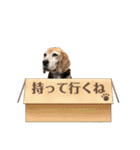 にるすた。4（個別スタンプ：20）