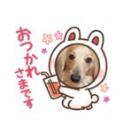 宿命のモンクシール第2弾（個別スタンプ：16）