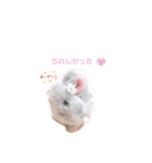 ねじまきはいいろうさぎの可愛いスタンプ♡（個別スタンプ：2）