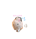 ねじまきはいいろうさぎの可愛いスタンプ♡（個別スタンプ：5）