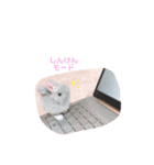 ねじまきはいいろうさぎの可愛いスタンプ♡（個別スタンプ：8）