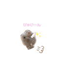 ねじまきはいいろうさぎの可愛いスタンプ♡（個別スタンプ：14）