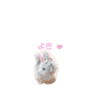 ねじまきはいいろうさぎの可愛いスタンプ♡（個別スタンプ：17）