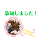 ミニチュアピンシャー①（個別スタンプ：32）