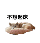 Yo！ しば犬ミちゃん（個別スタンプ：14）