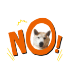 Yo！ しば犬ミちゃん（個別スタンプ：32）