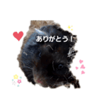 クロン♥️スタンプ（個別スタンプ：1）