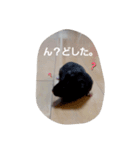 クロン♥️スタンプ（個別スタンプ：2）