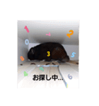 クロン♥️スタンプ（個別スタンプ：8）