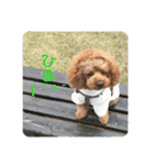 こあくんの一言（個別スタンプ：2）