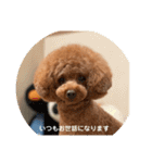 こあくんの一言（個別スタンプ：18）