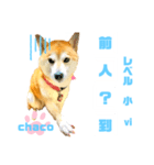 四字熟語のお勉強 レベル  小 ⅵ（個別スタンプ：1）