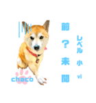 四字熟語のお勉強 レベル  小 ⅵ（個別スタンプ：2）