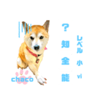 四字熟語のお勉強 レベル  小 ⅵ（個別スタンプ：3）