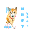 四字熟語のお勉強 レベル  小 ⅵ（個別スタンプ：4）