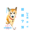 四字熟語のお勉強 レベル  小 ⅵ（個別スタンプ：5）