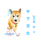 四字熟語のお勉強 レベル  小 ⅵ（個別スタンプ：6）