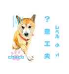 四字熟語のお勉強 レベル  小 ⅵ（個別スタンプ：7）