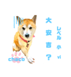 四字熟語のお勉強 レベル  小 ⅵ（個別スタンプ：8）