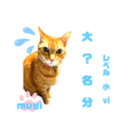 四字熟語のお勉強 レベル  小 ⅵ（個別スタンプ：10）