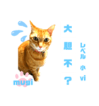 四字熟語のお勉強 レベル  小 ⅵ（個別スタンプ：12）