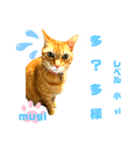 四字熟語のお勉強 レベル  小 ⅵ（個別スタンプ：14）