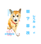 四字熟語のお勉強 レベル  小 ⅵ（個別スタンプ：18）