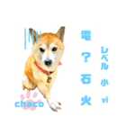 四字熟語のお勉強 レベル  小 ⅵ（個別スタンプ：22）