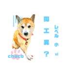四字熟語のお勉強 レベル  小 ⅵ（個別スタンプ：24）