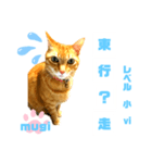 四字熟語のお勉強 レベル  小 ⅵ（個別スタンプ：25）