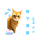 四字熟語のお勉強 レベル  小 ⅵ（個別スタンプ：26）