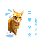 四字熟語のお勉強 レベル  小 ⅵ（個別スタンプ：29）