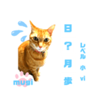 四字熟語のお勉強 レベル  小 ⅵ（個別スタンプ：30）