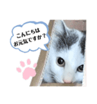 ぼく、うめこ。（個別スタンプ：4）