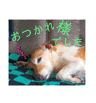 炭焼き酒場 雅 すたんぷ1st（個別スタンプ：16）