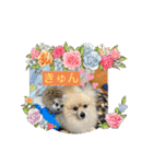 ミーアキャットの春ちゃんと仲間達（個別スタンプ：30）