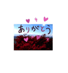 北アルプスや花がきれいなスタンプ（個別スタンプ：2）