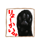 黒猫ココの正方形スタンプ（個別スタンプ：3）