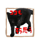 黒猫ココの正方形スタンプ（個別スタンプ：4）