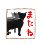黒猫ココの正方形スタンプ（個別スタンプ：5）