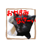 黒猫ココの正方形スタンプ（個別スタンプ：6）