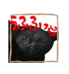黒猫ココの正方形スタンプ（個別スタンプ：7）