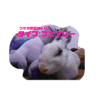 メロンさん2（個別スタンプ：2）