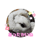 メロンさん2（個別スタンプ：4）