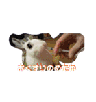 メロンさん2（個別スタンプ：6）
