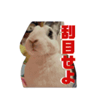 メロンさん2（個別スタンプ：7）
